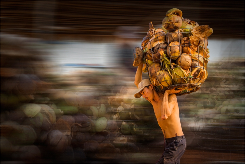 73 - COCONUT PLATATION - LE TAM - united states.jpg